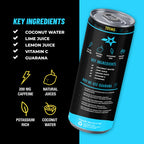 Take Flight Energy - Original (12 Pack)